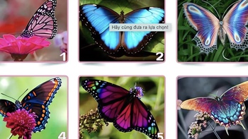 Quiz: Bạn chân thành, nhạy cảm hay là luôn hướng đến sự hoàn hảo