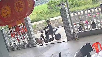 Cậu chủ ngã sõng soài vì được chó cưng chào đón 'trên mức nhiệt tình'