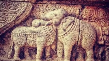 Quiz: Bạn sở hữu những phẩm chất tốt đẹp gì?