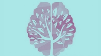 Quiz: Bạn bao dung, dễ tha thứ hay là người trách nhiệm