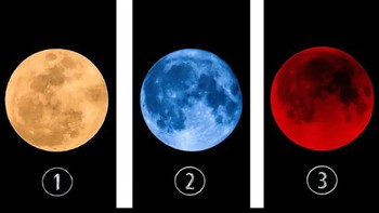 Quiz: Số phận đang dành cho bạn thông điệp gì?