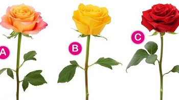 Quiz: Bạn ít nói, điềm tĩnh hay là người linh hoạt