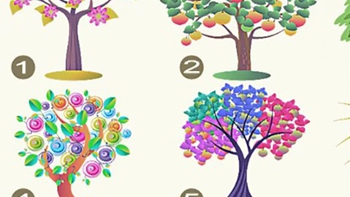 Quiz: Bạn hào phóng, trí tuệ hay là người chăm chỉ và hiệu quả