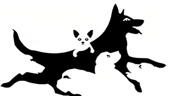 Quiz: Số lượng con chó đếm được tiết lộ tuổi não của bạn