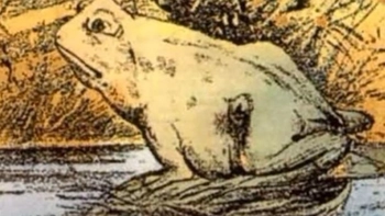 Quiz: Bạn trung thực, thẳng thắn hay là người tỉ mỉ, trách nhiệm