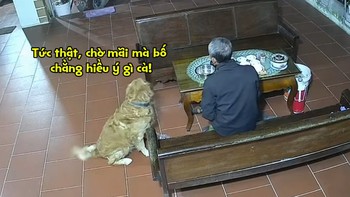 Cậu vàng buồn vì đi mua bánh về nhờ bóc mà sen không hiểu ý
