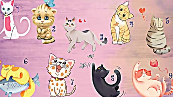 Quiz: Khả năng giao tiếp của bạn đến đâu?