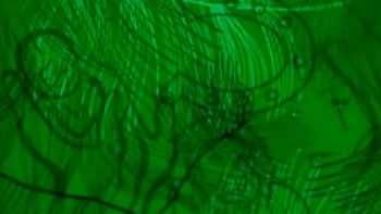 Quiz: Bạn sở hữu ý chí mạnh mẽ hay là người mang nhiều suy tư quá khứ