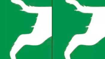 Quiz: Bạn quyết đoán hay là người giỏi hòa giải