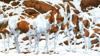 Quiz: Bạn tốt bụng hay là người linh hoạt và dễ thích nghi