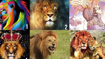 Quiz: Bạn cần mẫu người bạn đời nào?