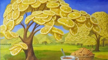 Quiz: Bạn sở hữu trực giác nhạy bén hay là người quan sát tốt