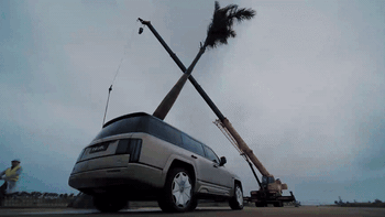 Thả cây cọ khổng lồ từ trên cao xuống, xe ô tô vẫn chạy phà phà, không vỡ nổi một tấm kính