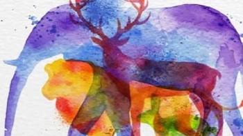 Quiz: Bạn thông minh, mạnh mẽ hay là người có lòng tự trọng cao