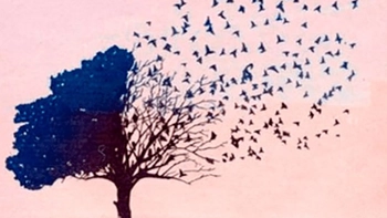 Quiz: Khuyết điểm lớn nhất của bạn là gì?