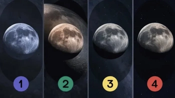 Quiz: Bạn đa cảm đến mức nào?