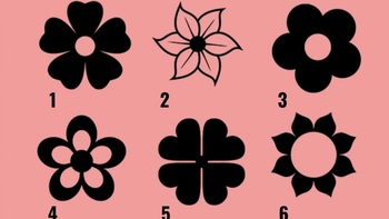 Quiz: Điều gì mang lại hạnh phúc cho bạn?