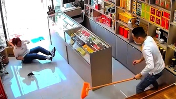 Chuột 'hồn bay phách lạc' trước màn la hét của nữ chủ quán