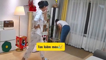 Mèo ngồi trên nóc tủ cho vợ chồng sen tìm hoa mắt