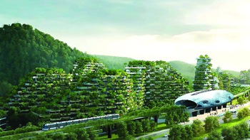 Tội nghiệp con cá mập, hoặc tốt hơn, nên cảm ơn nó