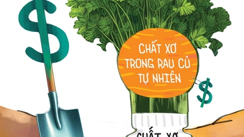 Chất xơ trong kẹo và chất xơ trong rau củ