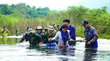 Gà lôi lam mào trắng: Để có cuộc hồi hương thực sự