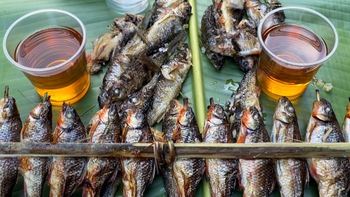 Về đại ngàn Trường Sơn ăn con cá mát