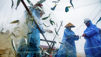 Catherine Karnow: Nhiếp ảnh là cách tôi lắng nghe