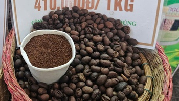 Giá cà phê thế giới quay đầu tăng, xuất khẩu cà phê Việt Nam có thể đạt đến 8 tỉ USD