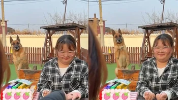 Chú chó mách nước cho cô chủ chơi trò chơi