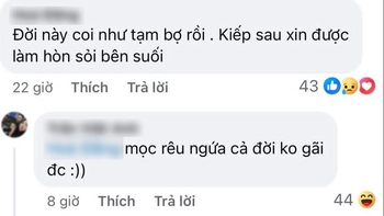 Ảnh vui 14-5: Khi 'chán đời' muốn được làm hòn sỏi bên suối...