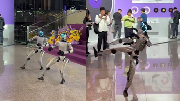 Robot biểu diễn kung fu ở Trung Quốc