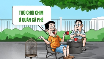 Mang loài chim này ra quán cà phê không cần trình giấy tờ