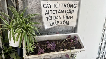 Ảnh vui 16-5: Ăn cây nào rào cây ấy