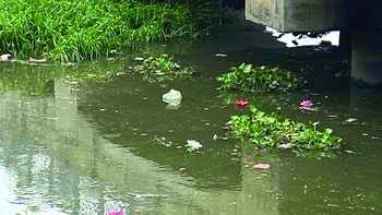 Tối đèn sáng rác "giữa đường phố hoa đèn"
