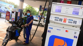 Lợi nhuận Petrolimex lao dốc, đang có gần 28.000 tỉ gửi ngân hàng, 'rót' vào trái phiếu