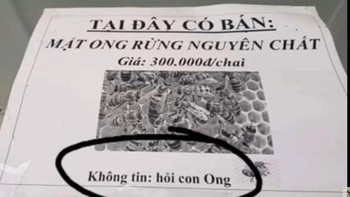 Ảnh vui 21-5: Mật ong rừng nguyên chất - Không tin 'hỏi... con ong'