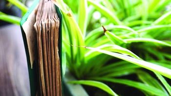Những quyển sổ cũ của ông nội