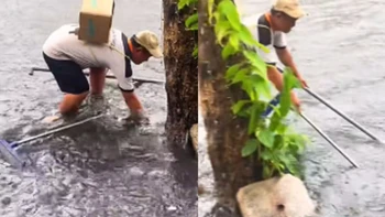 Thanh niên lên thành phố vẫn 'nhớ nghề' ở quê