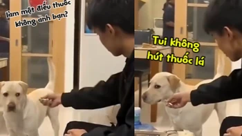 Chú chó 'thái độ' ra mặt khi được mời thuốc lá