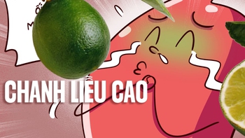 Bao tử khóc thét vì cậu chủ thải độc bằng 'chanh liều cao'
