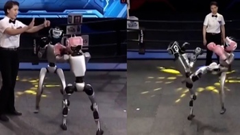 Robot hình người đấu quyền anh như võ sĩ chuyên nghiệp