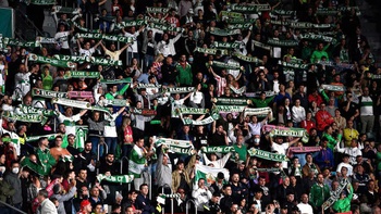 CLB Elche cấm fan ăn hạt hướng dương trên sân vì sợ… chuột