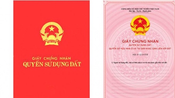 Những xấp sổ đỏ