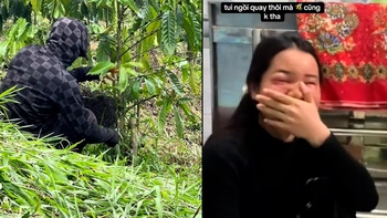 Cô gái sưng húp mắt khi làm cameraman quay cảnh bắt ong