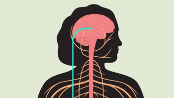 Căng thẳng và đường đi của ung thư