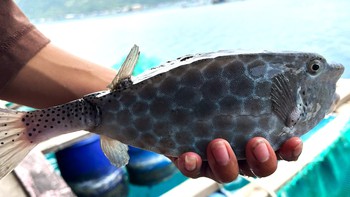 Phạt chủ bè 'chặt chém' du khách ở Nha Trang 20 triệu đồng