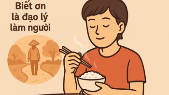 Đây là câu tục ngữ gì? (P15)