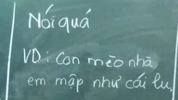 Ảnh vui 11-6: Dùng biện pháp nói quá để tả con mèo