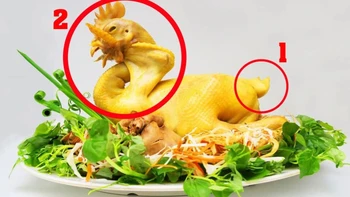 Câu tục ngữ về ẩm thực này là gì?